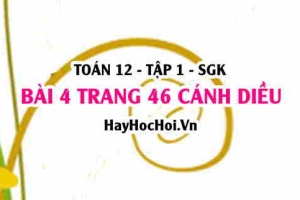 Bài 4 trang 46 Toán 12 tập 1 Cánh Diều